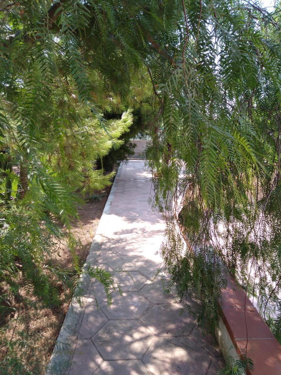 Stelle Sul Salento Holiday Home Марина ди Манкаверза Екстериор снимка